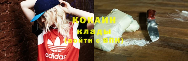индика Волосово