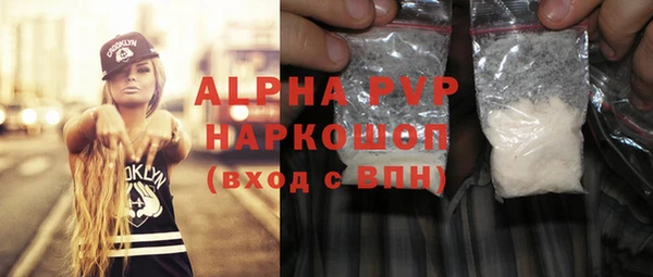 индика Волосово