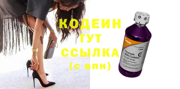 индика Волосово