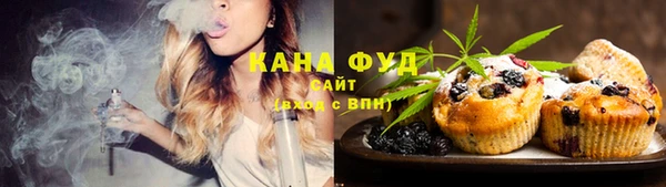 соль ск Снежинск