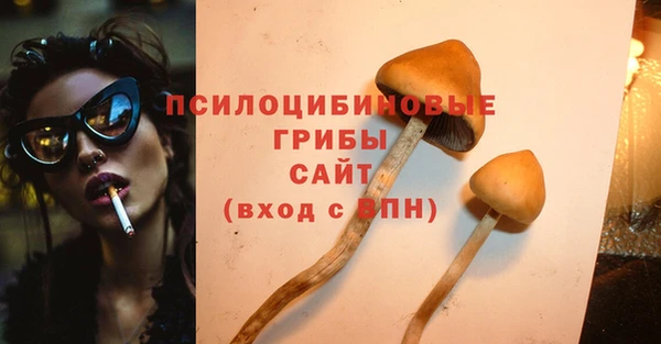 соль ск Снежинск