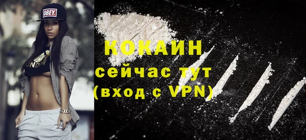 твердый Слюдянка