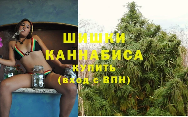 индика Волосово