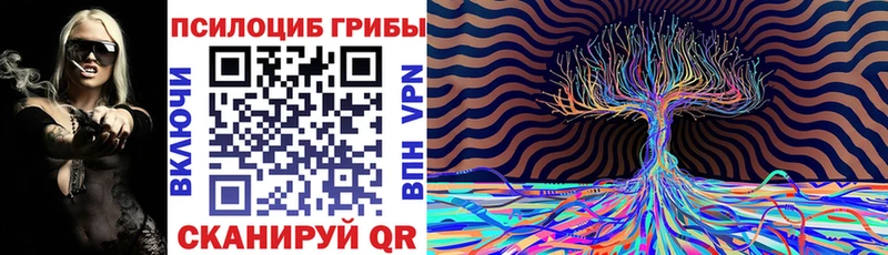 Псилоцибиновые грибы прущие грибы  ОМГ ОМГ зеркало  darknet какой сайт  Владикавказ 